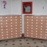 Cataloagele